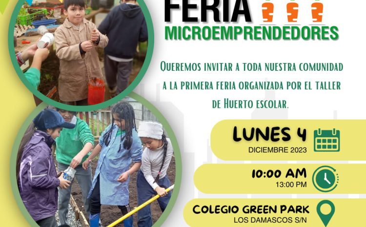 Feria micro emprendedores